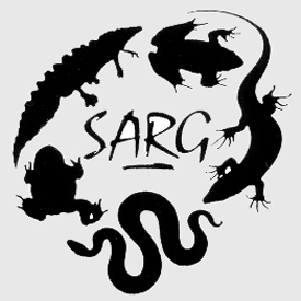 how to install sarg in CentOS / Redhat 6.x