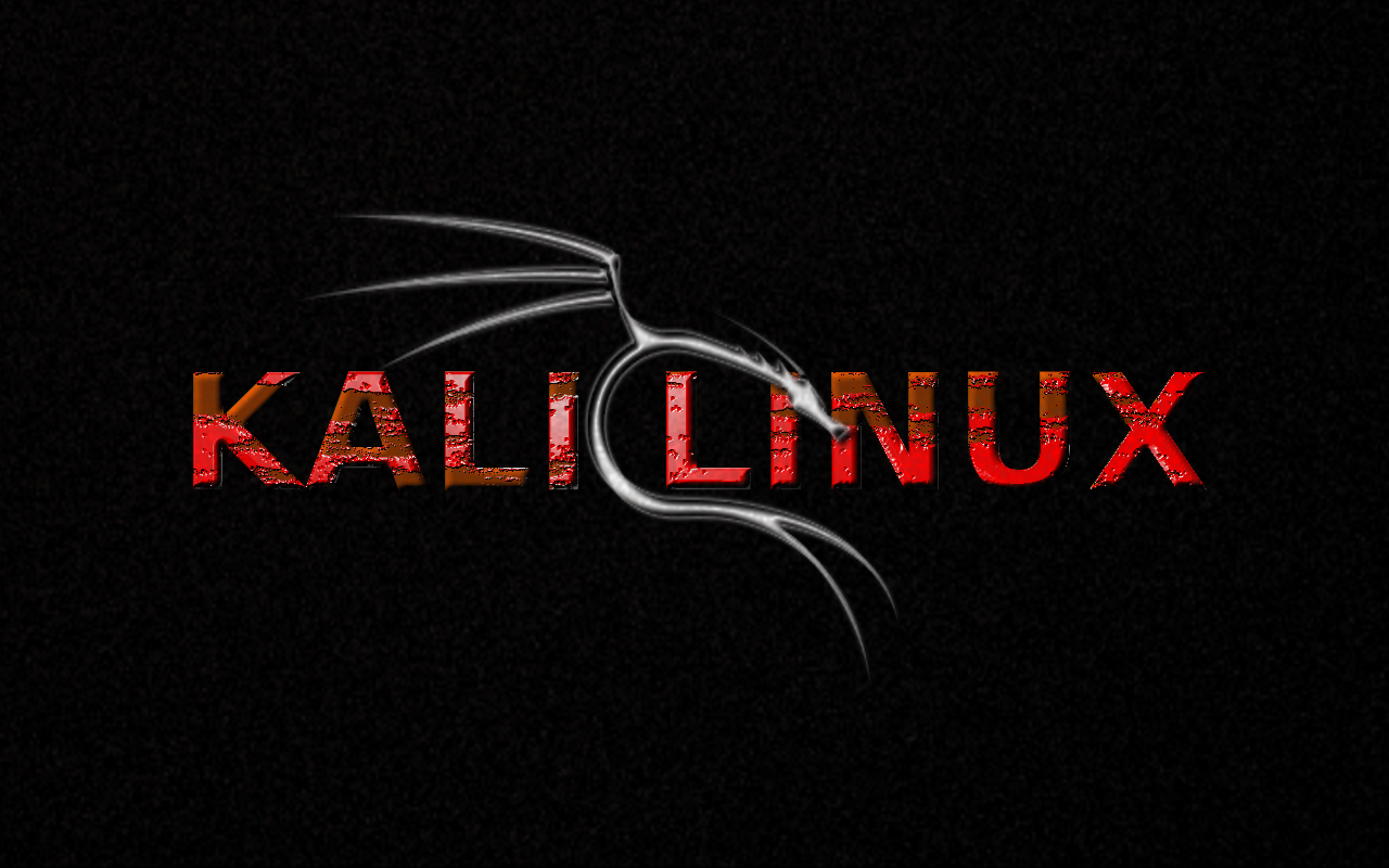package manager for kali